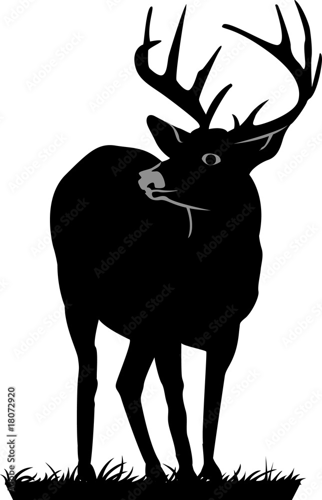 cerf