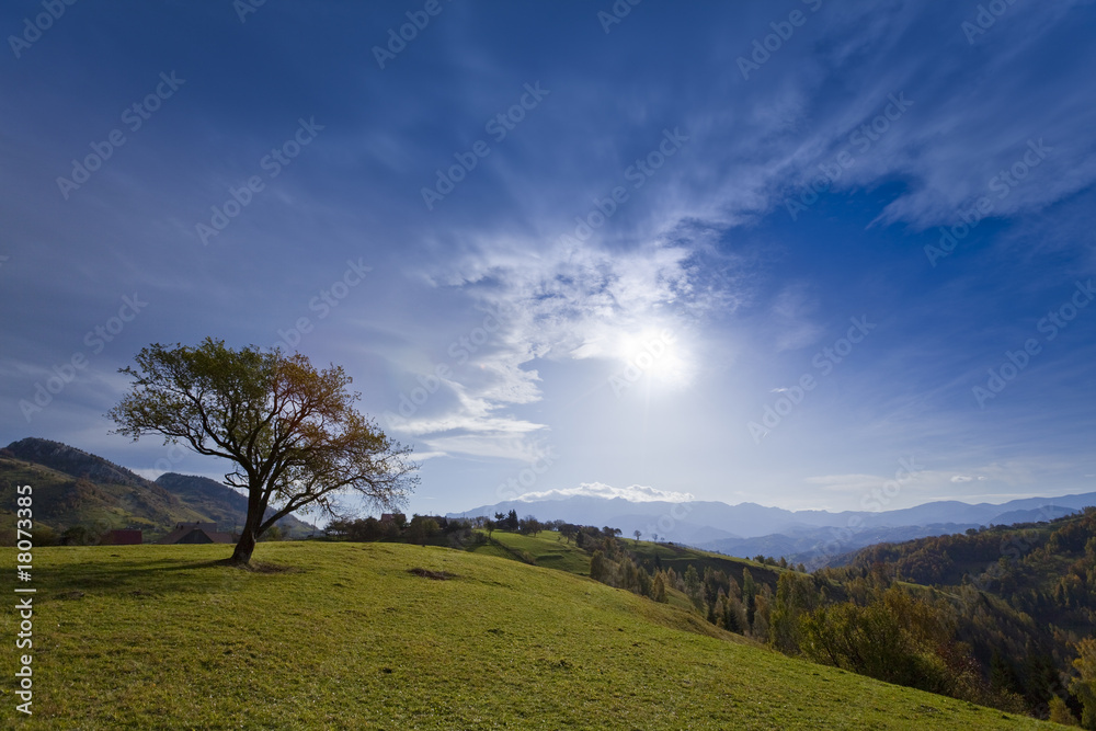 Beautiful autumn scenery with isolated tree on blue sky