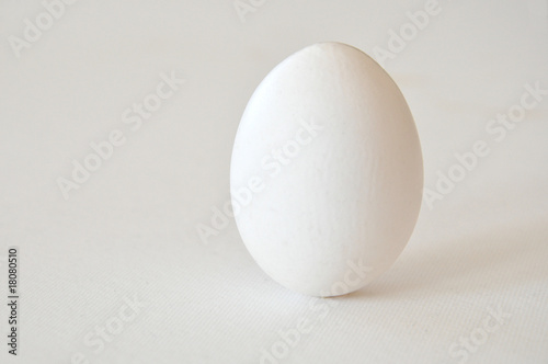 ein Ei