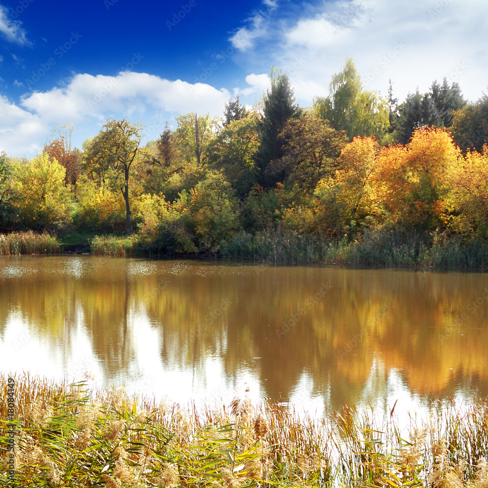 Obraz premium Lake