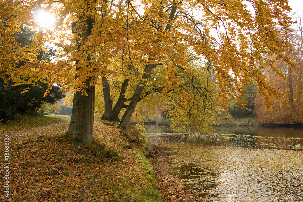 Herbstbäume Herbstbäume