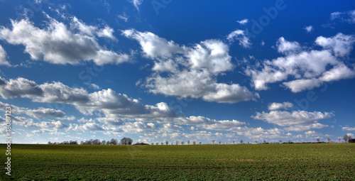 Feld und Wolkenhimmel