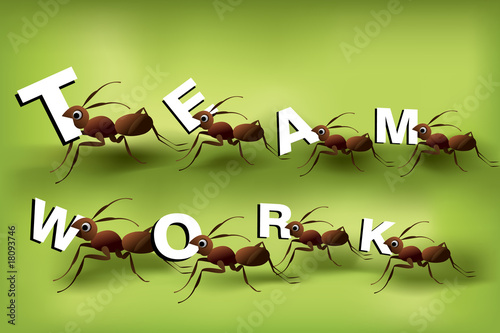 Team work 01