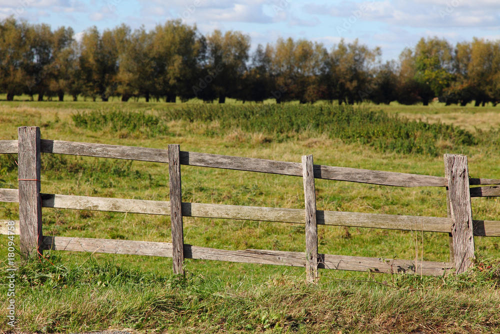 Fototapeta premium Countryside Fence