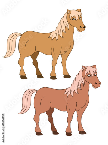 two brown horse