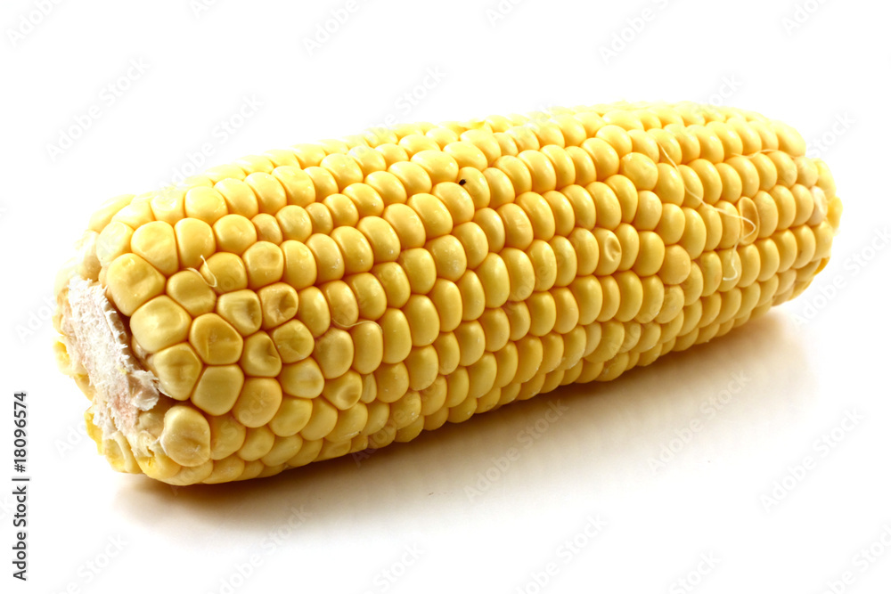 yellow corn yellow corn