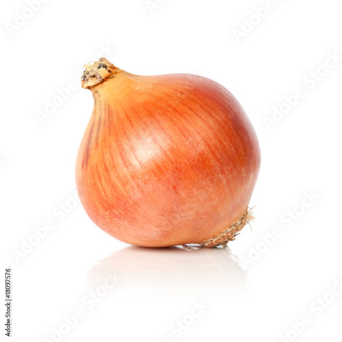 Wallpaper Mural Onion Torontodigital.ca