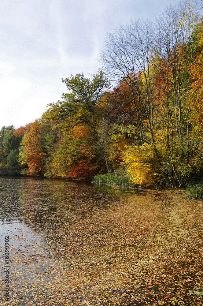 Fototapeta premium Herbstlich gefärbter Wald - See