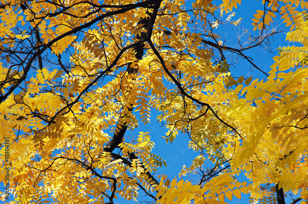 herbst herbst