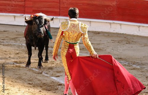 Matador Facing Bull