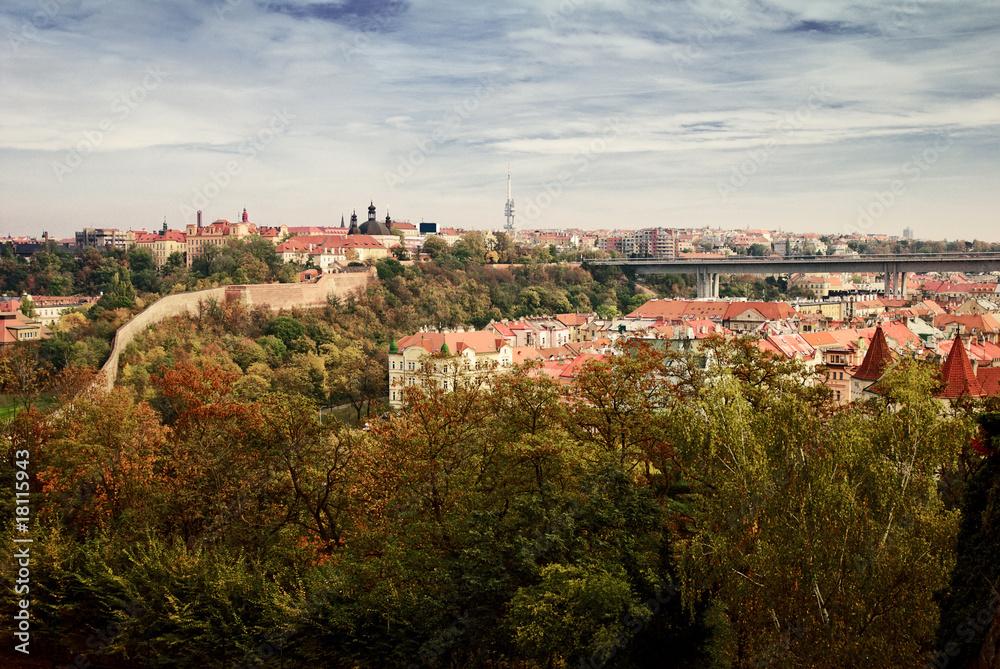 View on Prague. Czech Republic
