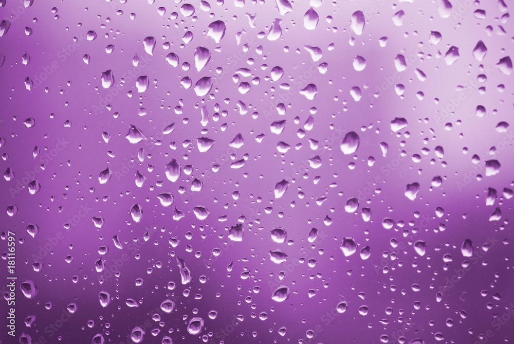 violet raindrops violet raindrops