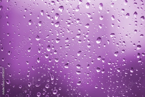 violet raindrops