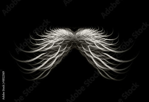 Black and White Wings