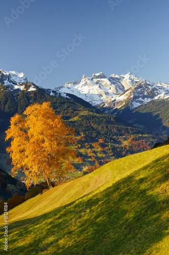 Herbst in den Bergen photo