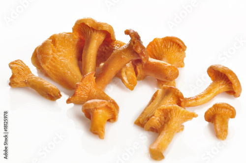 Eierschwämme
