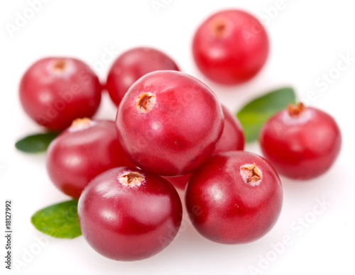 Cranberries on a white background