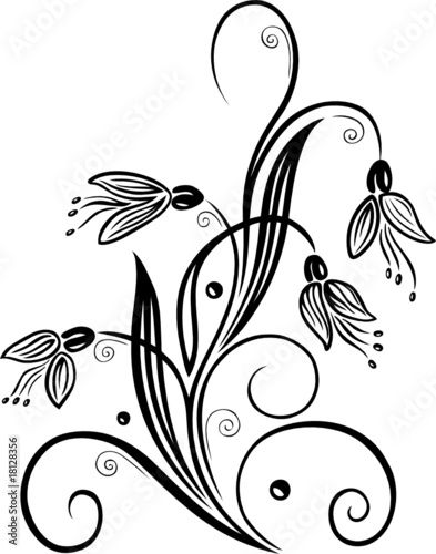 snowdrop, floral, Schneeglöckchen, Frühling, Blume