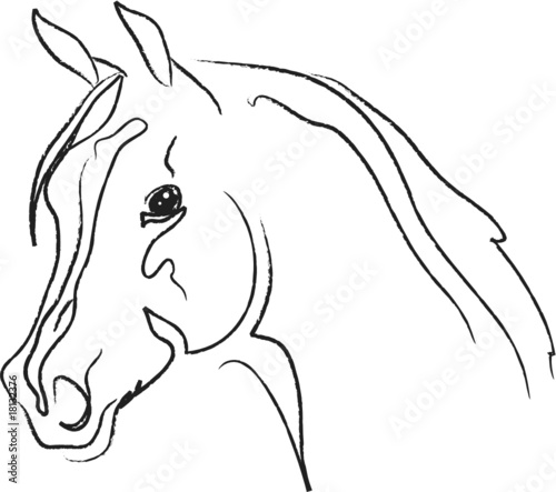 horse head vector