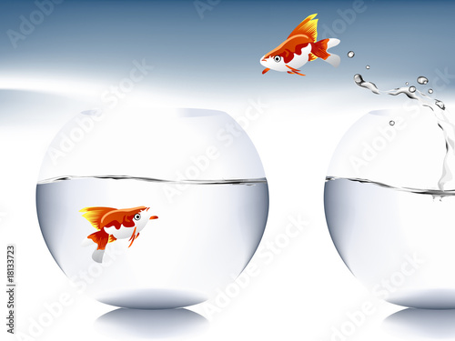 goldfish jumping