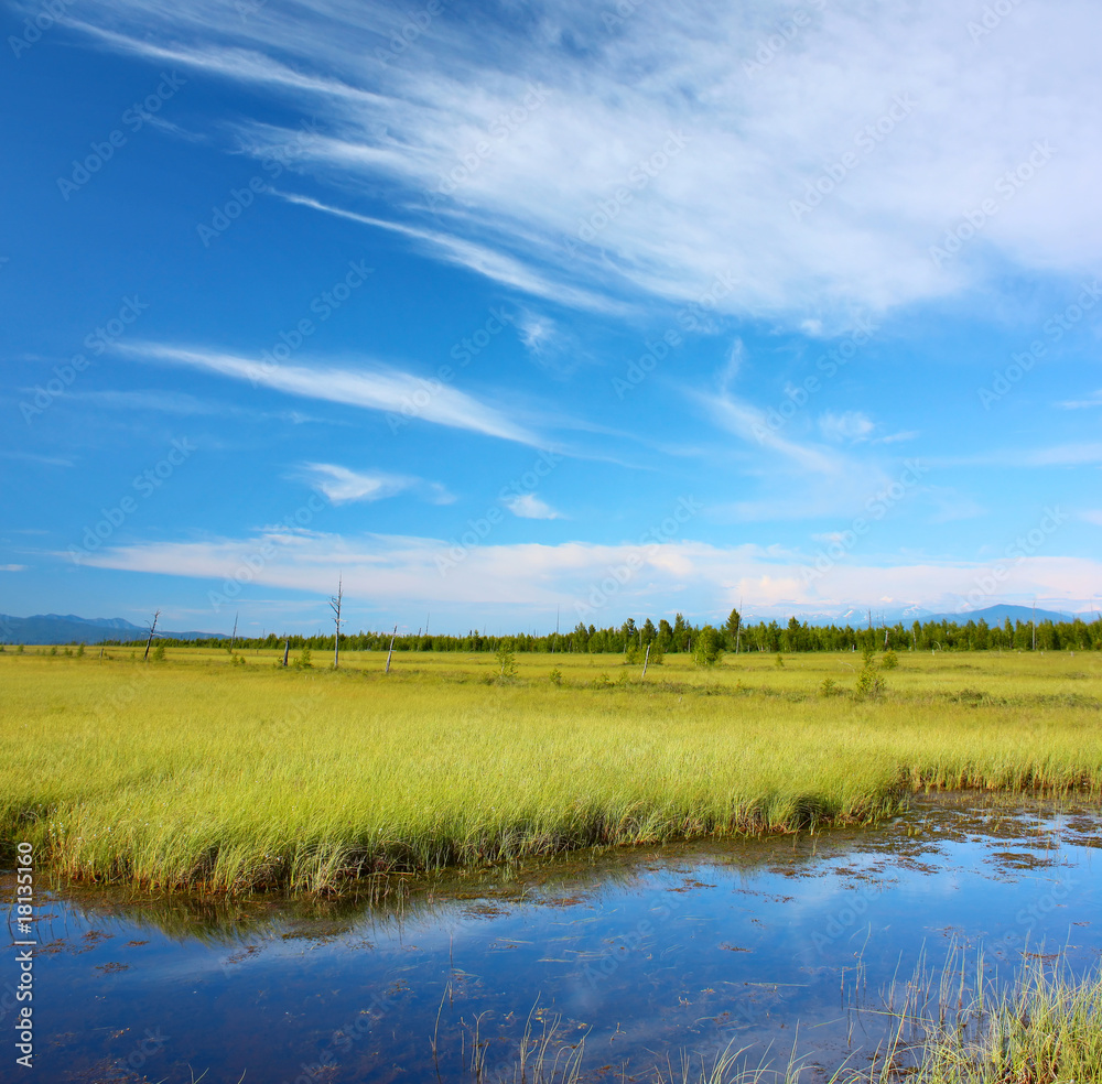 Fototapeta premium River