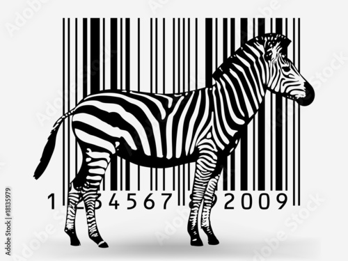 zebra