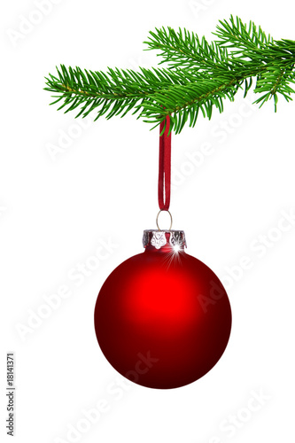 Adventszweig