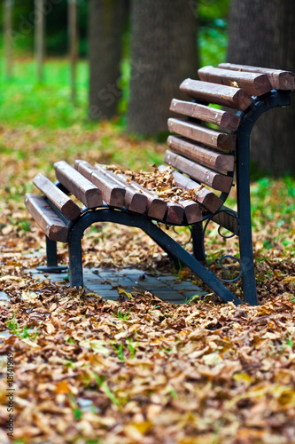 Bench in autumn park photo