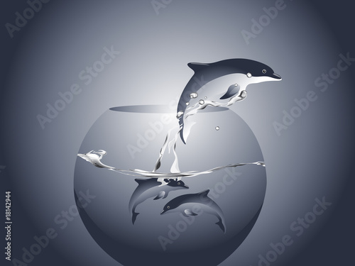 dolphin