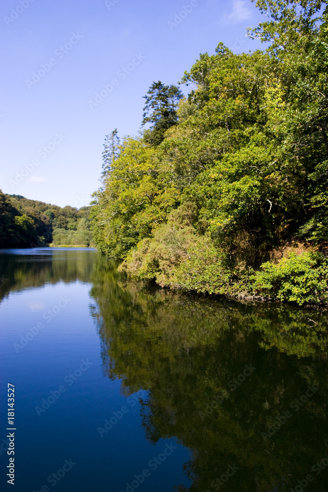 reflection of trees in a lake