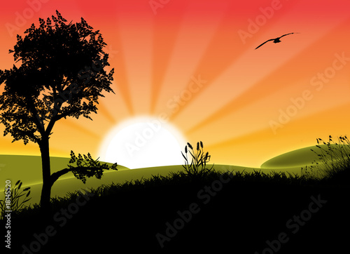 Dawn
