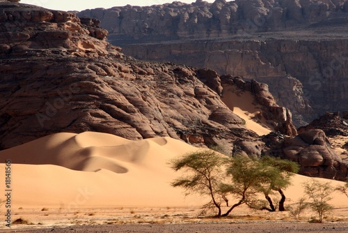 Desert scenes13