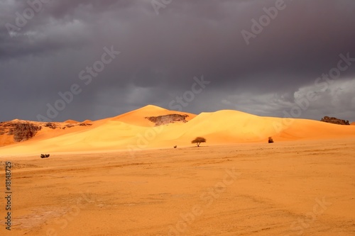 Desert scenes19 © tuulimaa