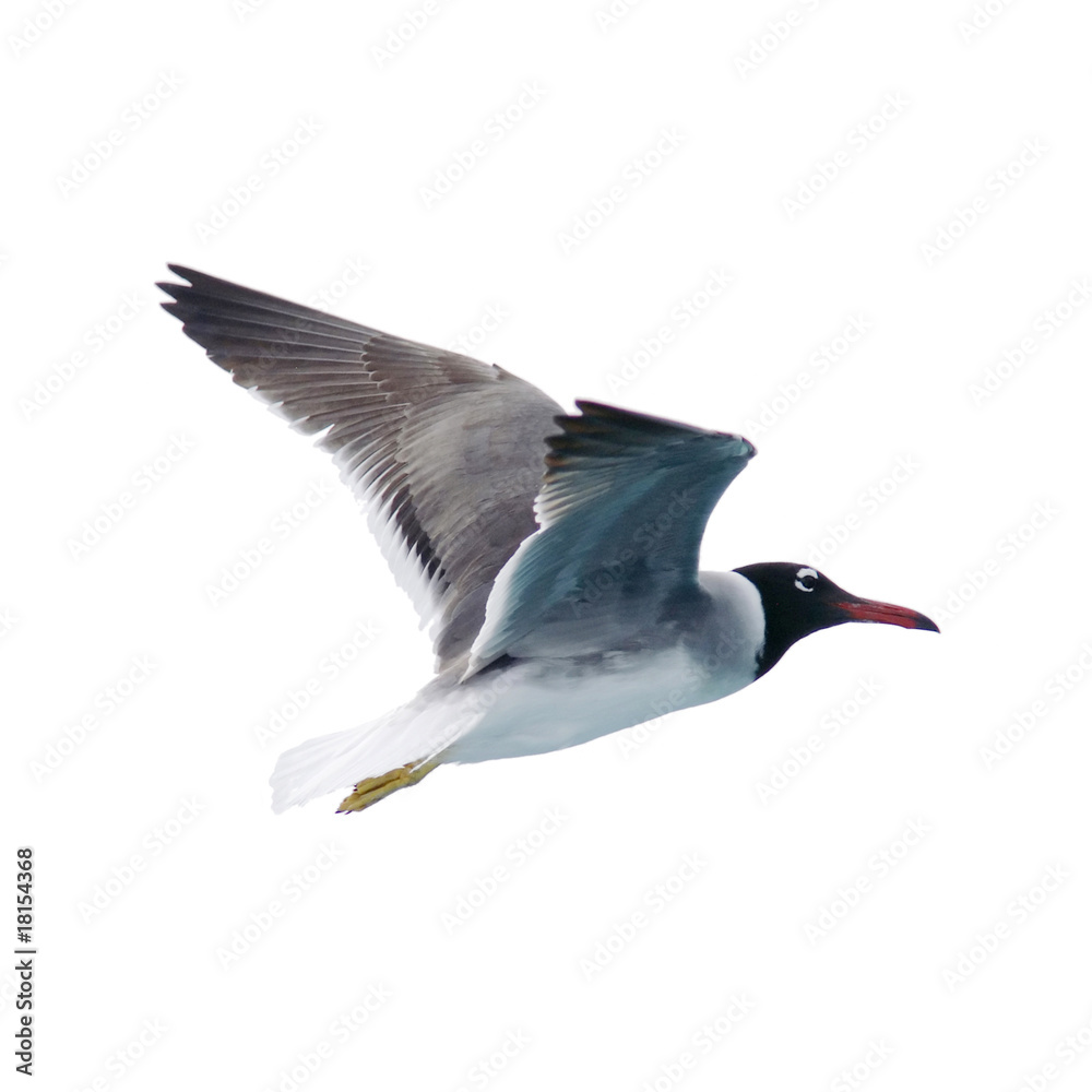 Obraz premium Złoto 14