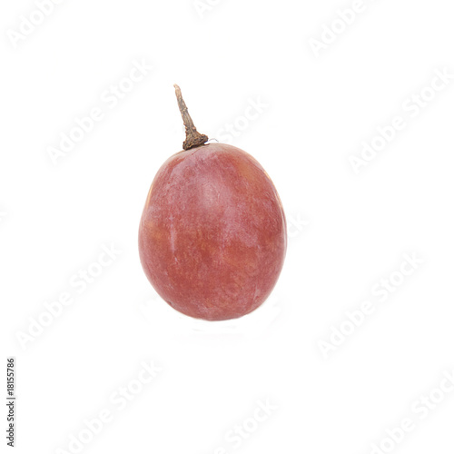 weintraube