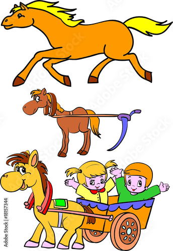 horse