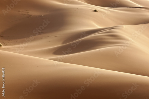 desert sand dunes © Rosa Frei