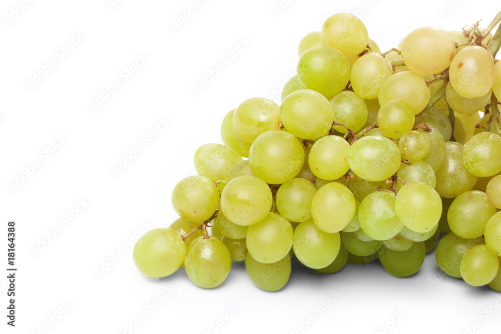 Branch of green grapes on the white background