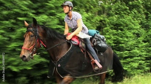 Reiten Trab Eile Pferd