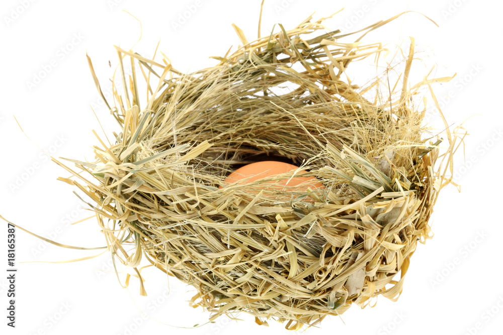 nid oiseau paille oeuf fond blanc nid oiseau paille oeuf fond blanc
