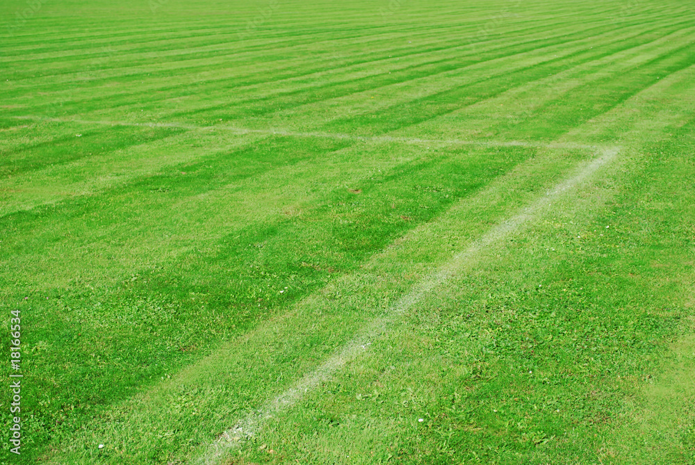 green football pitch with white lines and a parallel pattern green football pitch with white lines and a parallel pattern