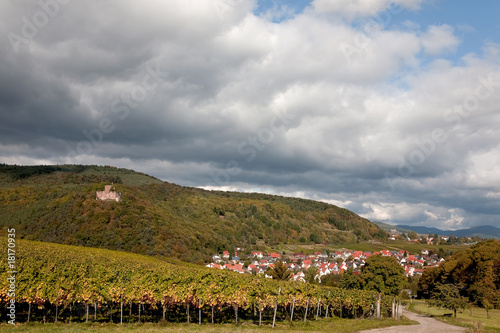 Blick auf Klingenmünster photo