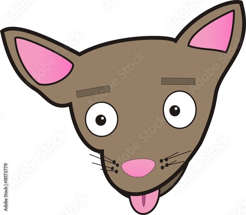 Little chiwawa