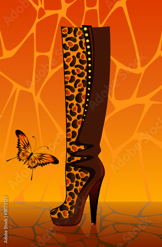 beautiful womanish boots