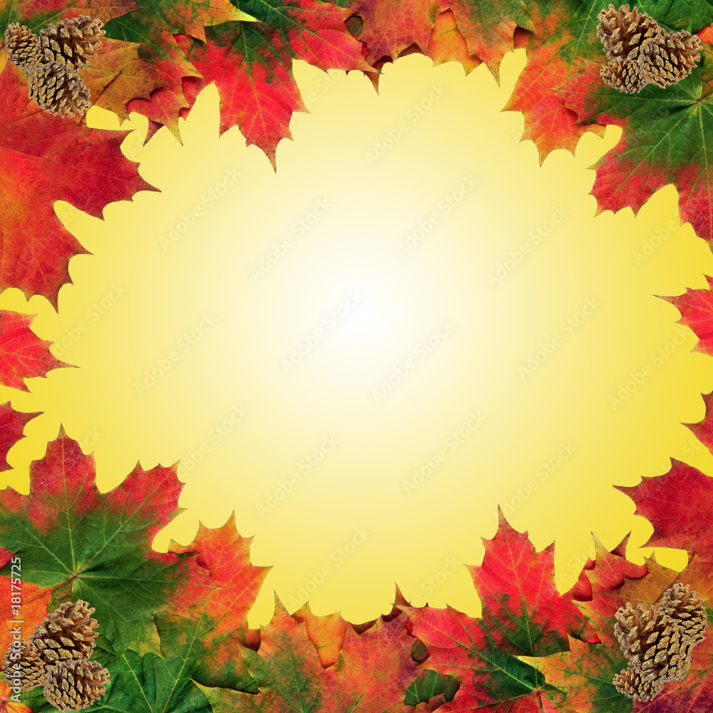 Autumn Leaf Beauty Autumn Leaf Beauty