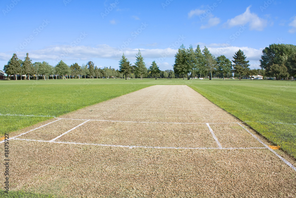 Cricket pitch empty Cricket pitch empty