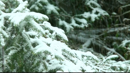 snow