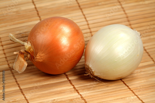 Large onion
