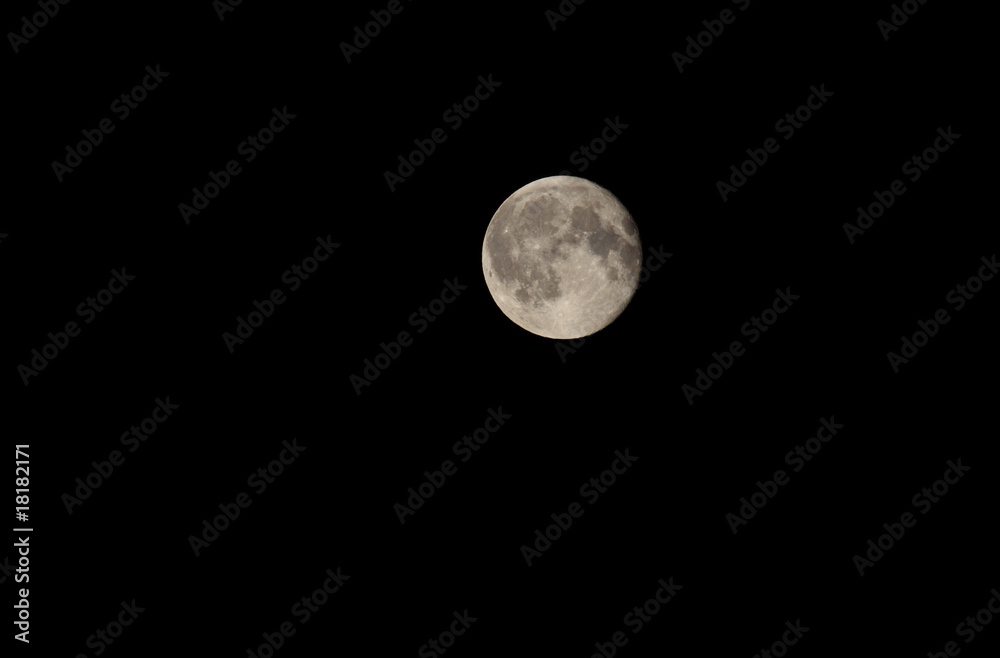 Moon Moon