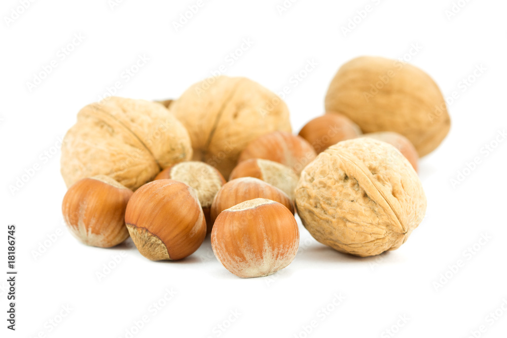 pile of nuts isolated on white pile of nuts isolated on white